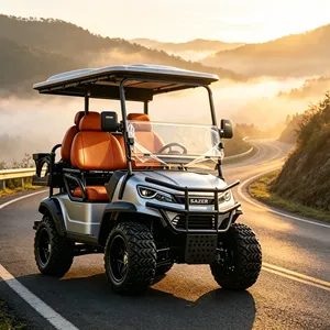 High Performance 4 Passenger Electric Buggy with Powerful Motor Luxury Seats All Terrain Tires Golf Cart