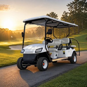 Resort Hotel Airport 6 Seater Electric Golf Cart 4+2 OEM Custom Logo Passenger Buggy