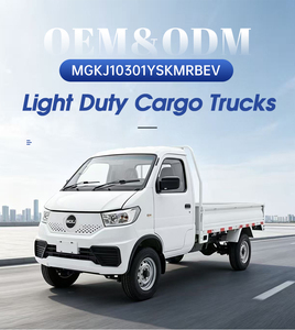 RHD 1.5T Electric Pickup Truck