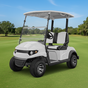 China Factory Electric 2 Seats Electric Sightseeing Tourist Car Sightseeing Buggy Sightseeing Bus for Hotel Airport