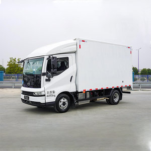 BYD T5 EV Light Truck