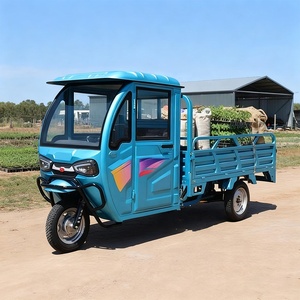 Two Seater Shed Electric Tricycle Cargo Cab